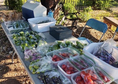 Dreamflower Garden Farm Stand